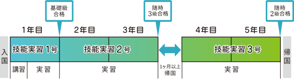 実習期間について